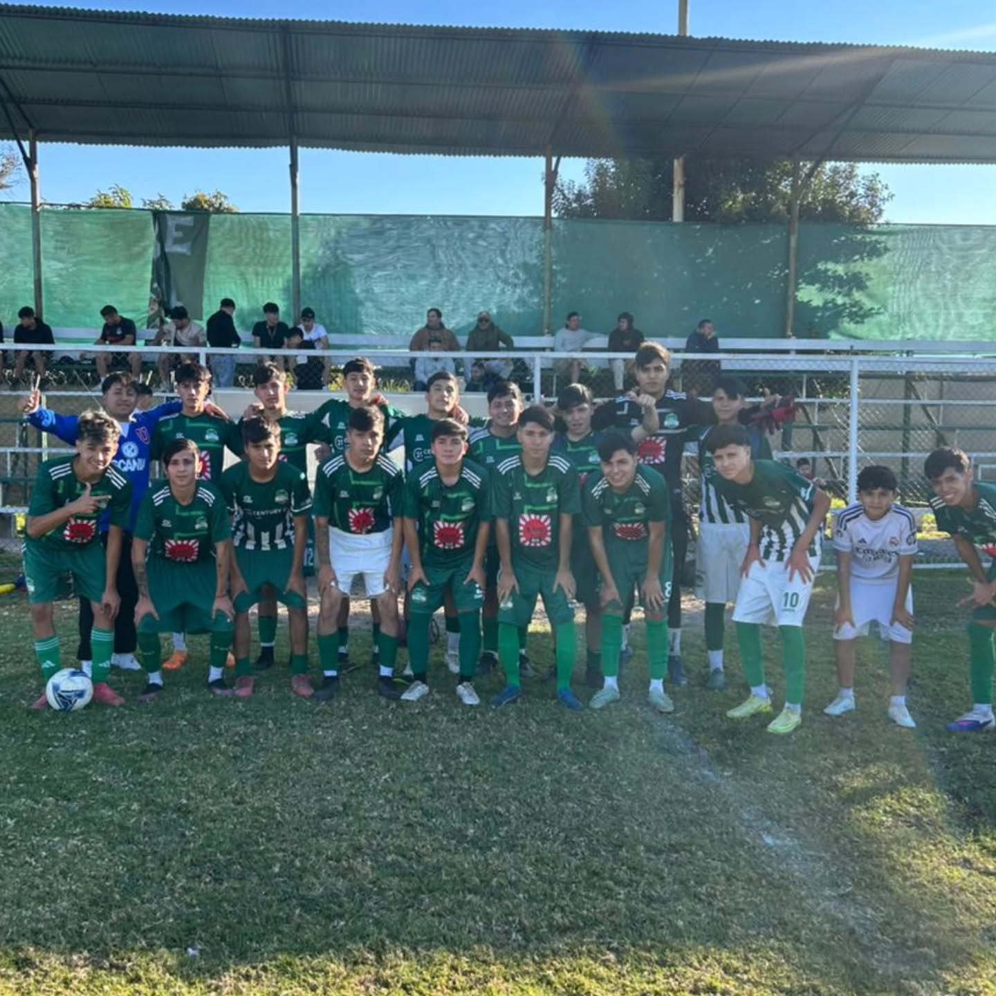 Juvenil